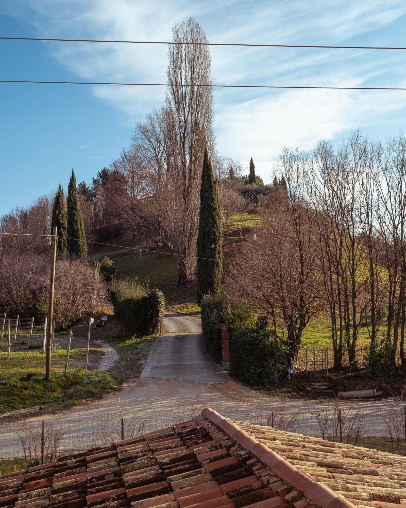 Agriturismo La Vigna Di Sarah Vittorio Veneto Exterior foto